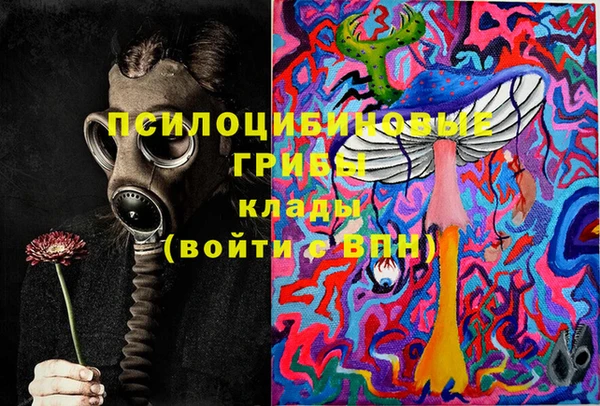 МДПВ Абаза