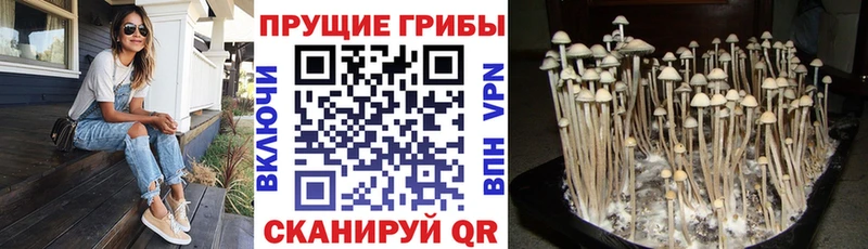 Галлюциногенные грибы MAGIC MUSHROOMS  Киренск 